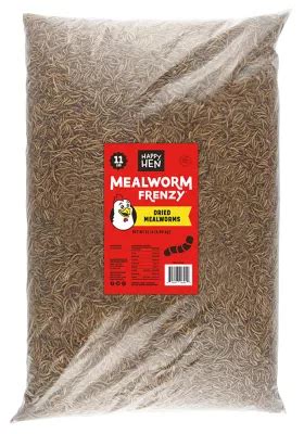 halloween chicken tractor supply|meal worms for sale.